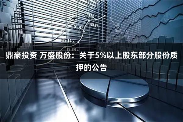 鼎豪投資 萬盛股份：關于5%以上股東部分股份質押的公告