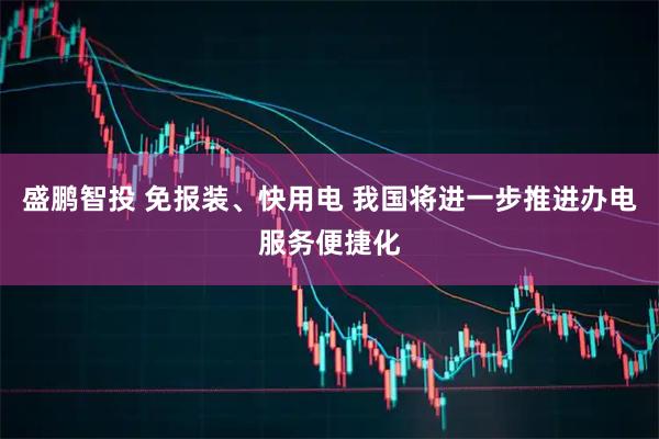 盛鵬智投 免報裝、快用電 我國將進一步推進辦電服務便捷化